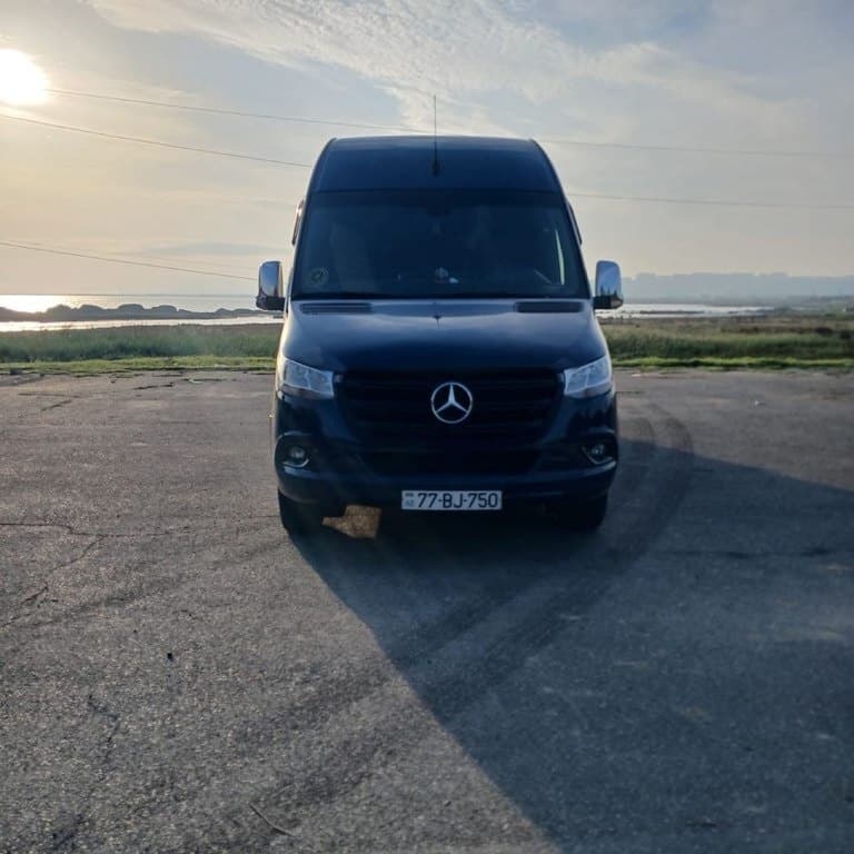 2021 Mercedes Sprinter 316 - Image 1