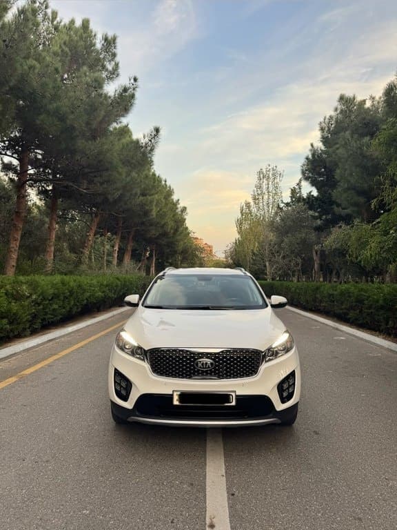 2017 Kia Sorento - Image 1