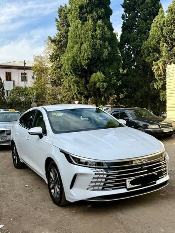 2025 BYD Destroyer 05 - Image 1