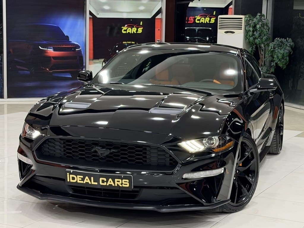 2019 Ford Mustang - Image 1