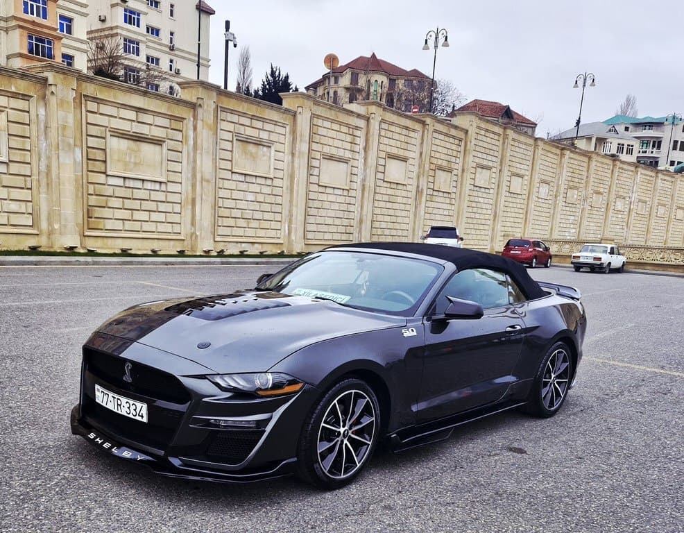 2019 Ford Mustang - Image 1