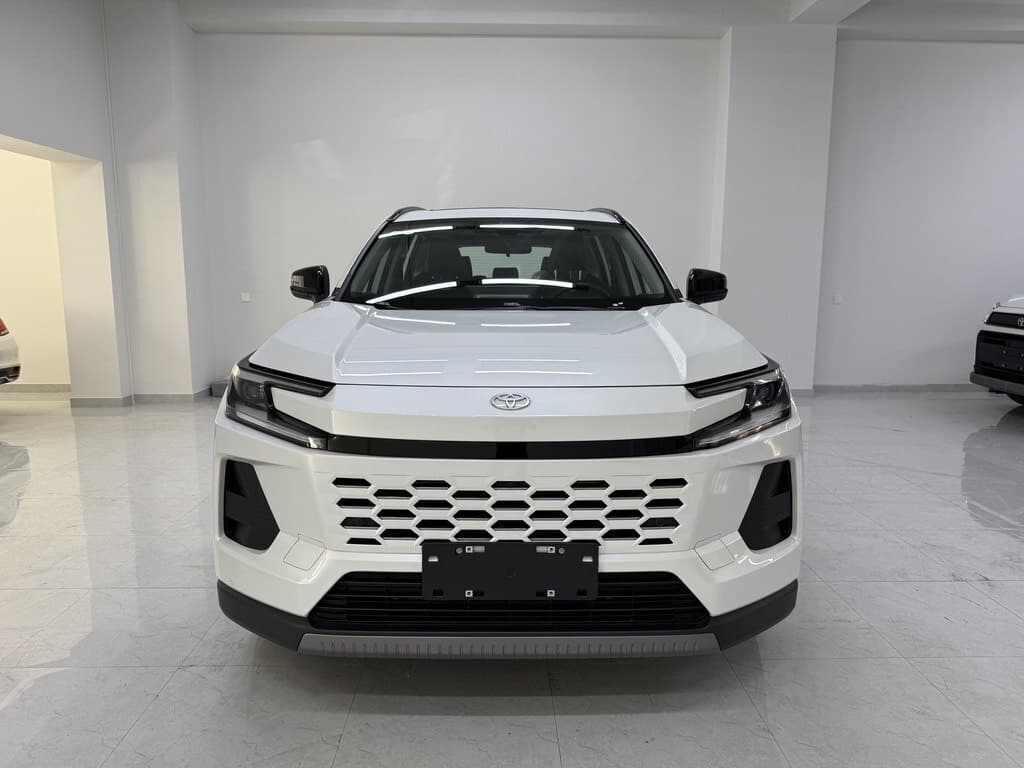 2026 Toyota Wildlander - Image 1